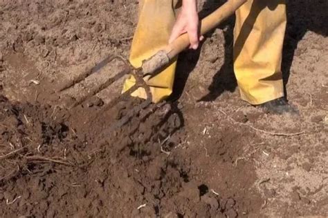 Выбор подходящего места и положения для процедуры стрижки