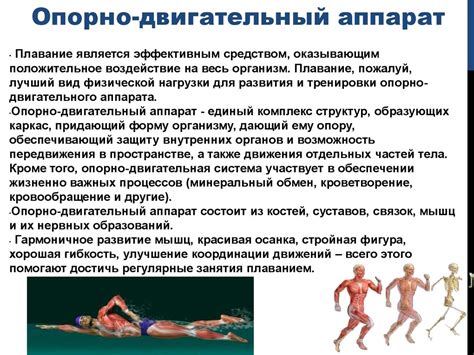 Выбор подходящего острова и его воздействие на игровое развитие