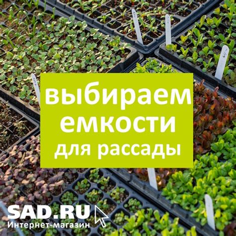 Выбор подходящей емкости