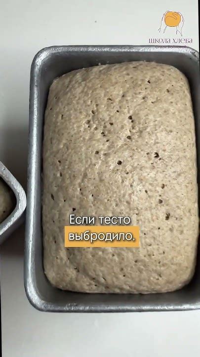 Выбор подходящей муки для создания идеального хлеба