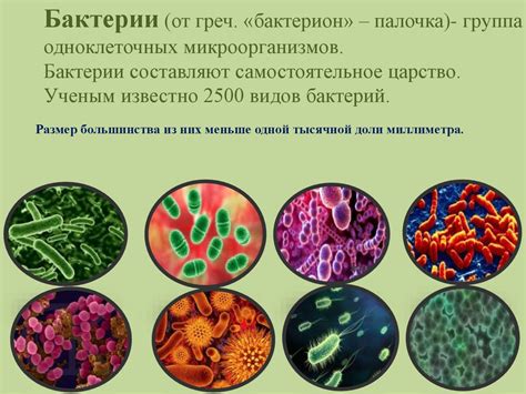 Выбор подходящих материалов для создания барьера от бактерий и вирусов
