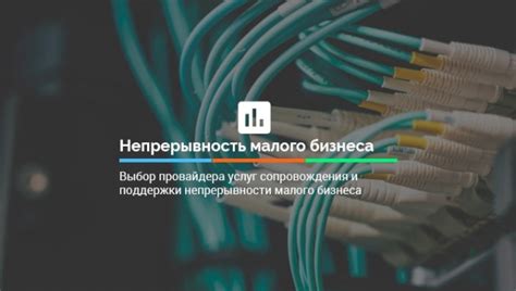 Выбор провайдера доменных услуг