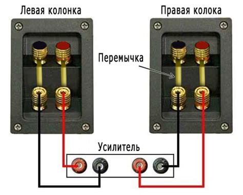 Выбор совместимого усилителя и соответствующих кабелей