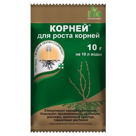 Выбор эффективного средства для сохранения здоровья корней деревьев