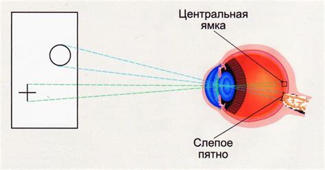 Выделение основных зон осветления