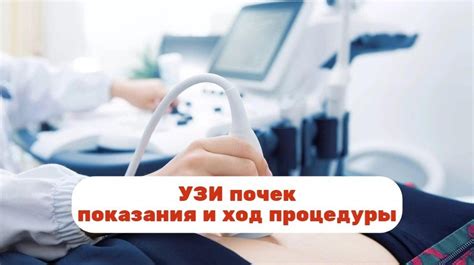 Выполнение проверочного сканирования и оценка результатов