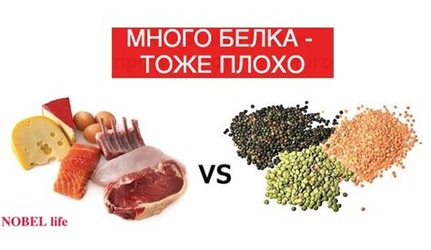 Высокое потребление белка