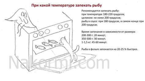 В духовке - идеальная готовность: рекомендации по температуре и времени приготовления