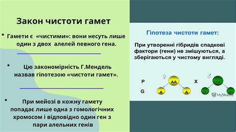 Генетика в лесоводстве: влияние скрещивания генетических материалов