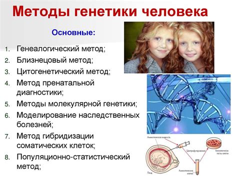 Генетическая предрасположенность и влияние наследственности в развитии гипертонии у мужчин