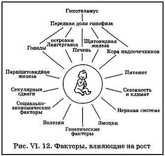 Генетические факторы: влияние на рост ребенка