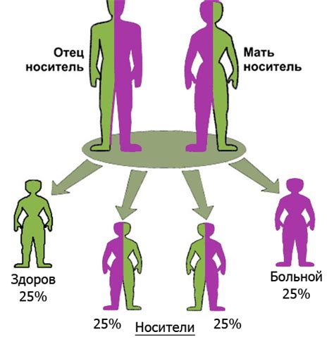 Генетический поток: влияние миграции на развитие человека