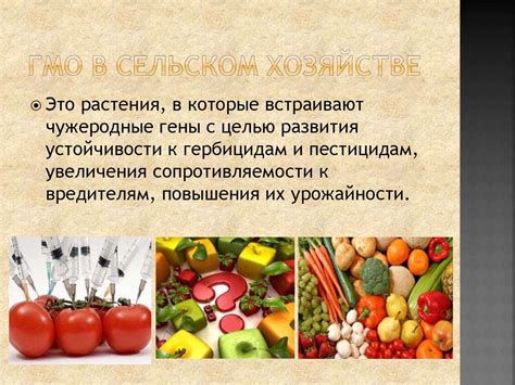 Генетически модифицированные культуры и их значимость в сельском хозяйстве