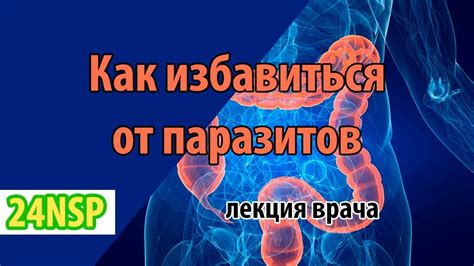 Главные проявления присутствия паразитов в организме
