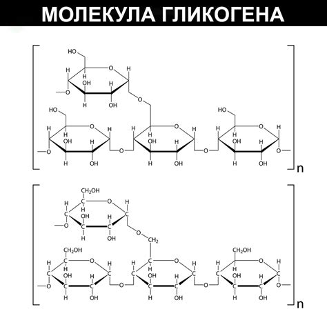 Гликоген – это