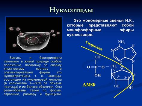 Гликолевая группа 45: структура и свойства