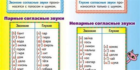Глухие согласные: определение и примеры
