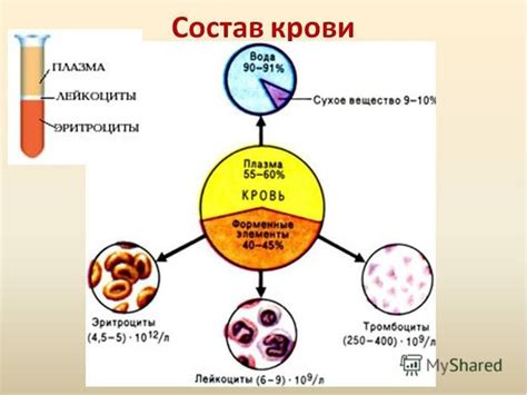 Глюкоза в крови: роль, влияние и функции