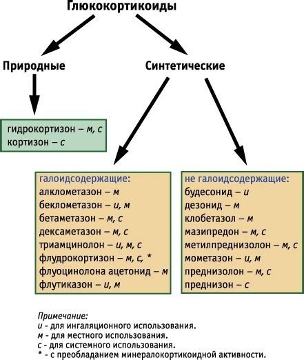 Глюкокортикостероиды: принцип действия и назначение