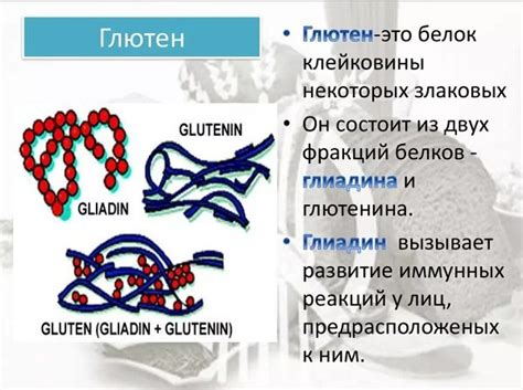 Глютен: основа для производства клейковины