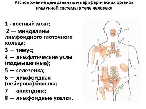 Гнойники на теле и состояние иммунной системы