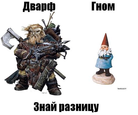 Гном и дворф: основные различия