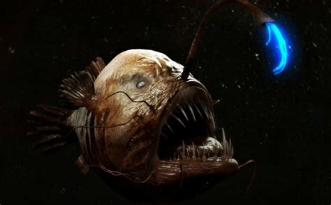 Голец тихоокеанский – интересные факты о рыбе