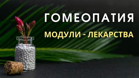 Гомеопатия: история и принципы