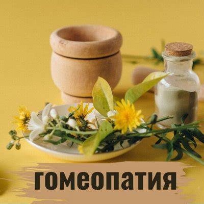 Гомеопатия и бады: общие черты и отличия