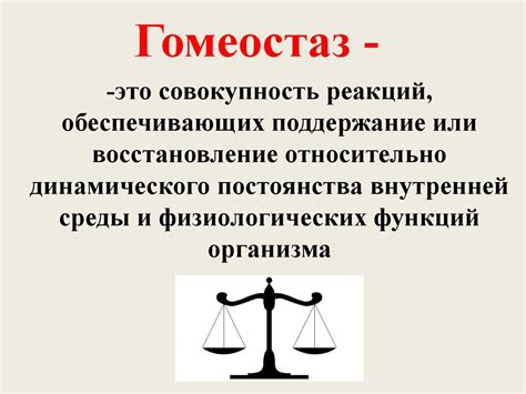 Гомеостаз: сущность и значение в медицине