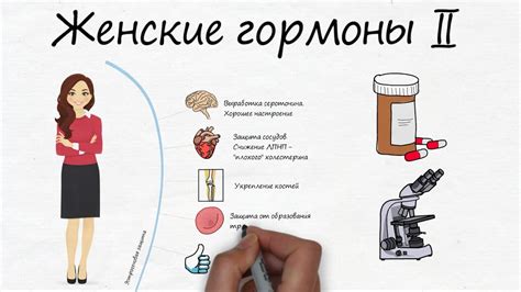 Гомоцистеин: гормон и его влияние на женский организм