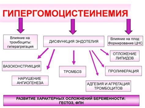 Гомоцистеин: что это и почему важно его контролировать