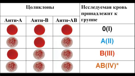 Группа крови и резус-фактор