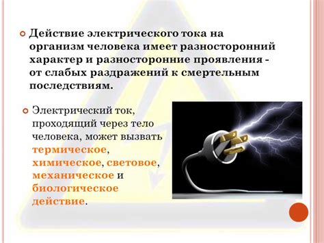 Действие антиоксидантов на организм