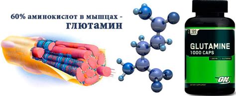 Действие глютамина на организм
