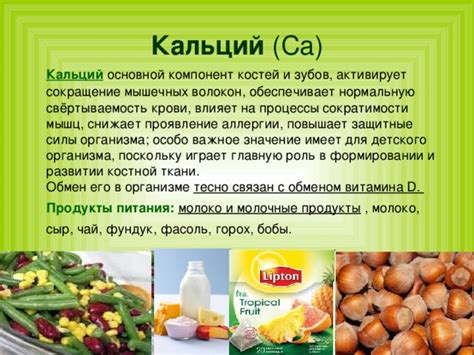 Действующий компонент и его важное значение в препарате