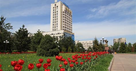 Диагностика и лечение причин дисфункции глотки