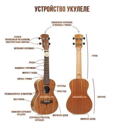 Диапазон звучания и октава инструментов укулеле и укулеле сопрано