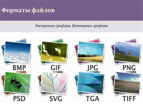 Добавление источников изображений и графических элементов в ваш PDF-файл: ключевые моменты