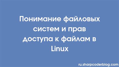 Добавление прав доступа к скриптам в Linux: полный контроль над исполнением