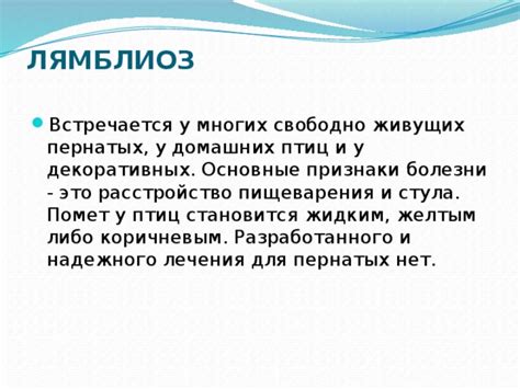 Домашние методы лечения опухолей у пернатых птиц
