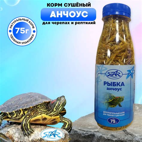 Дополнительные компоненты для поддержания здоровья водных рептилий