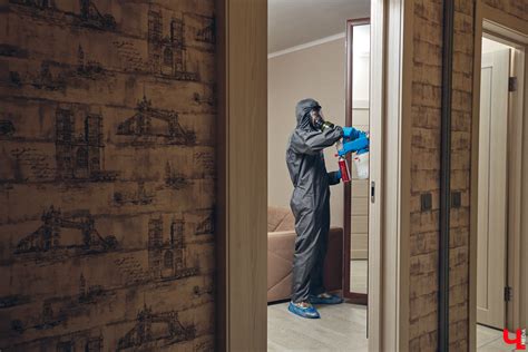 Естественные способы устранения назойливых насекомых в помещении