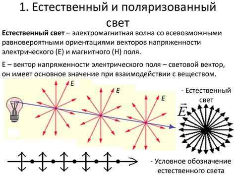 Естественный свет: его характеристики и происхождение