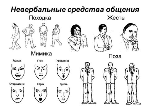 Жесты и мимика, свидетельствующие о волнении и симпатии