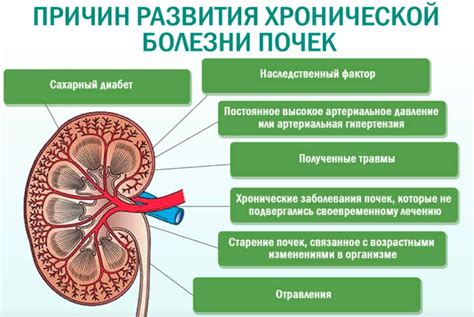 Заболевания почек и их воздействие на организм