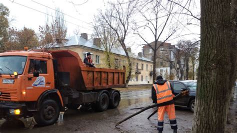 Забота о корневой системе перед зимним периодом