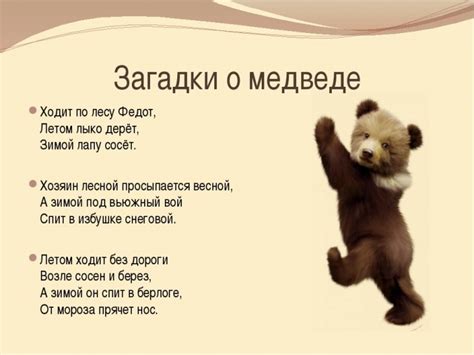 Загадка пропавшего медведя: общественное мнение и догадки