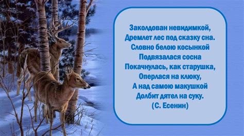 Загадки зимнего застывшего покрова: волшебство сияющего снега
