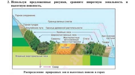 Загадки стратосферы: первые шаги к расшифровке высотной зональности